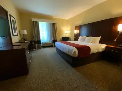 Comfort Suites Fredericksburg North - 81