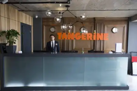 ApartTangerine - 36
