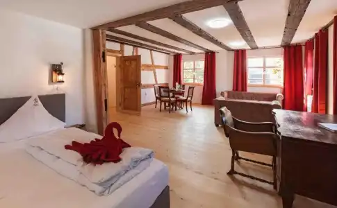 Bodensee Storchen - 111