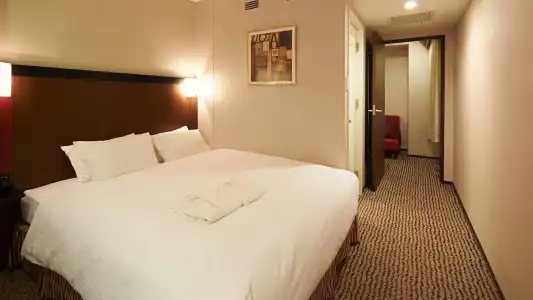 Sotetsu Fresa Inn Tokyo-Akasaka - 50
