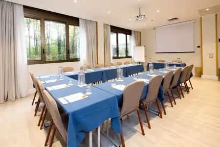 Best Western Air Linate - 22