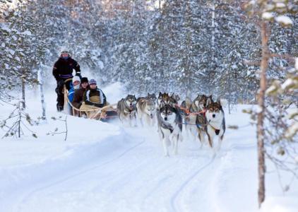Santa's Luxury Boutique Villa - Santa Claus Village - 45