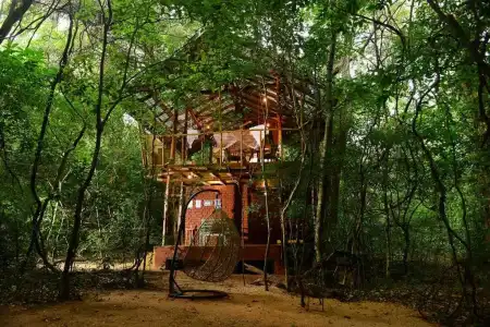 Back of Beyond - Pidurangala - 62