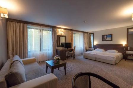 Lion Borovets - 36