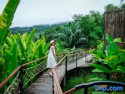 Khaosok Boutique Camps - 21