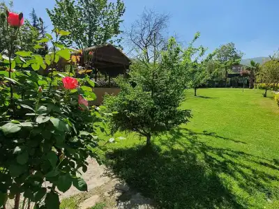 Sapanca Aqua Wellness Spa - 26