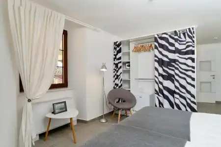 Zebra - 31