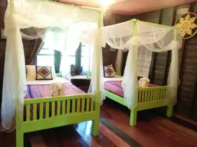 Orchid Hibiscus Guest House - 0