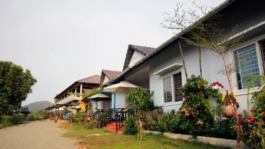 Sanssouci Kep - 100