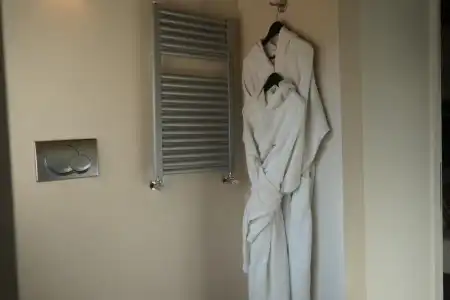 Trevi Palace Luxury Inn - 57