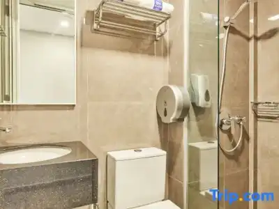 ibis budget Singapore Ametrine - 36