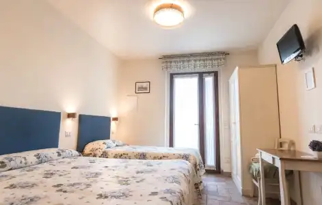 Rosa di Assisi - 100