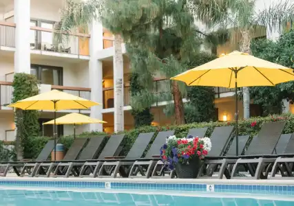 Palm Mountain Resort and Spa - 11