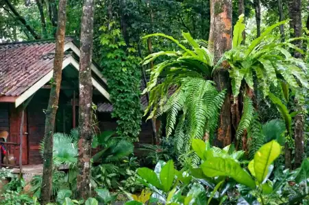 Khao Sok Riverside Cottage - 61