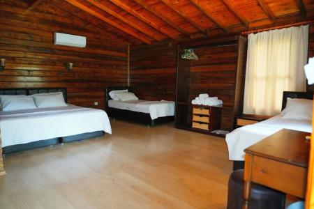 Olympos Angels Garden - 50