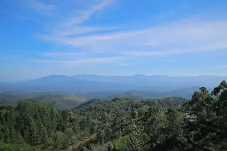 Bellwood Hills Resort & Spa - 15