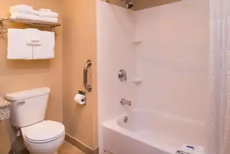 Best Western Ambassador Inn & Suites - 65