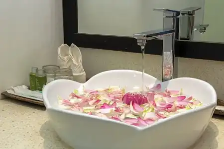Apsara Centrepole - 64