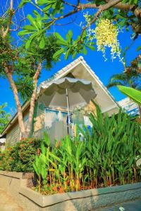 Luna Hut Resort Hua Hin - 64