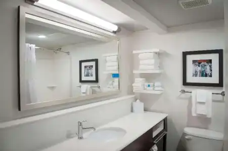 Hampton Inn New Orleans-St. Charles Ave./Garden District - 49
