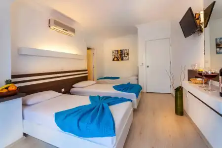 Puya - 4