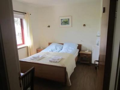 Nes Reykholtsdal - 39