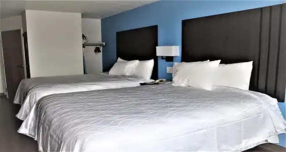 SureStay Plus By Best Western Niagara Falls East - 4