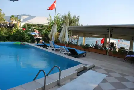 Dalyan Palmyra - Special Class - 53