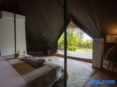 Tamu Koh Rong - 33