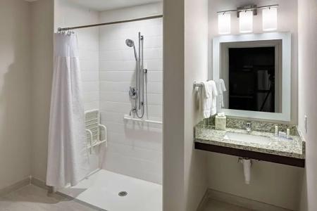 TownePlace Suites by Marriott Orlando at SeaWorld - 95