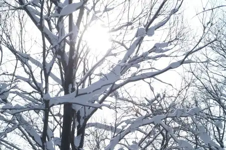 Yumoto Niseko Prince Hirafutei - 16