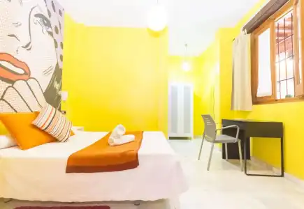 White Nest - 24