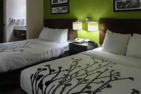 Sleep Inn & Suites Columbus - State University Area - 33