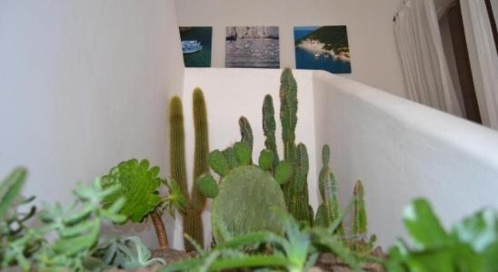 Apulia Bed & Breakfast - 33