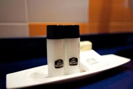 Best Western Piemontese - 53