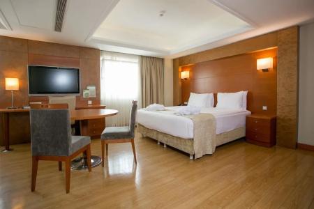 Holiday Inn Istanbul City - 74