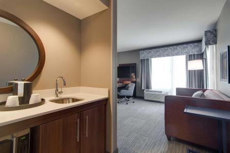 Hampton Inn & Suites by Hilton Nashville North Skyline - 93