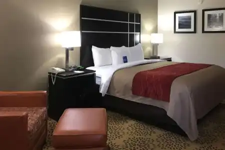 Comfort Inn North of Asheville - 29