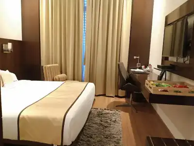 Monotel Luxury Business - 3