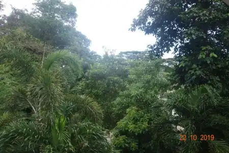 FOREST LODGE GUEST HOUSE - 50