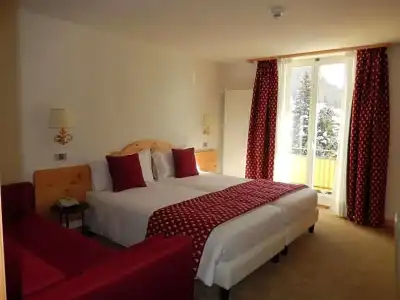 Schweizerhof - 30