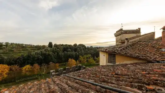 Agriturismo I Bonsi - 81