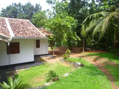 Chitra Ayurveda - 33