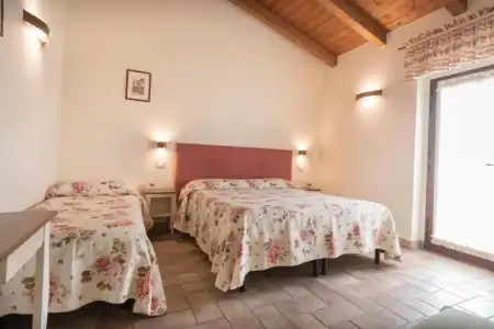 Rosa di Assisi - 22