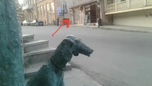 Sofya - 0