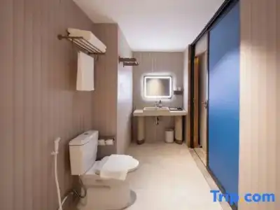 Hanting Ho Chi Minh City Downtown (汉庭国际胡志明市中心酒店) - 216