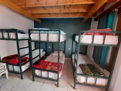 Octopus Resort - 14
