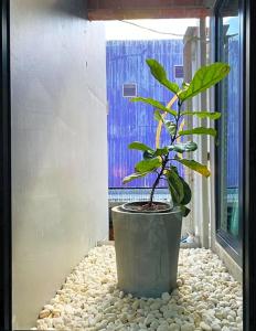 Little One Hostel - 11