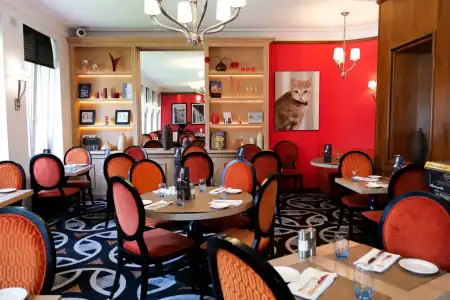 Eden Genève - 14