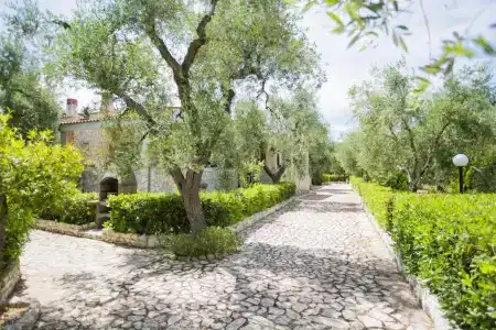 Tenuta Padre Pio - 76